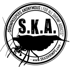 Shrimp Keepers Anonymous, Calgary