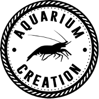 Aquarium Creation, Los Angeles